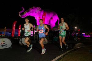 BIB: 
                            <button type="button" onclick="openModal(26535113)" class="btn btn-primary btn-sm float-right btn-popup" data-toggle="modal" data-target=".modal-high-quality">
                        <i class="fas fa-shopping-cart"></i> Add to Cart
                    </button>
                                            <button type="button" onclick="isThisMe(26535113, true)" class="btn btn-success btn-sm float-right btn-popup btn-isme hidden" data-toggle="tooltip" data-placement="bottom" title="นี่คือรูปของคุณใช่ไหม คลิกที่นี่เพื่อเอาเข้าอัลบั้ม">
                        <i class="fas fa-plus"></i> Add to album
                    </button>
                    <button type="button" onclick="isThisMe(26535113, false)" class="btn btn-warning btn-sm float-right btn-popup btn-isnotme hidden">
                        <i class="fas fa-ban"></i> Remove from album
                    </button>